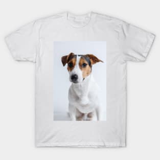 Dog T-Shirt